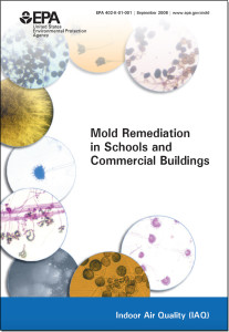 SynergyNDS, Florida League of Cities, mold remediation